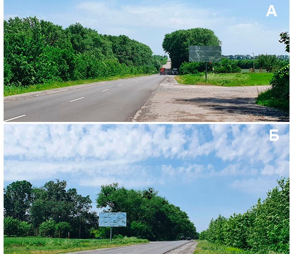 images/foros/photo/zvenigorodka/1.png
